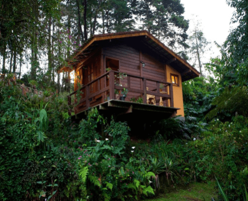 Resorts All Inclusive Rio De Janeiro Bromelia Sabia E Cia Localizacao